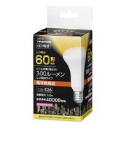 R63レフ形LED 電球色 LDR5LH