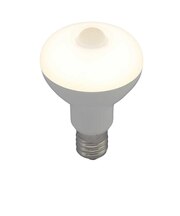 LED電球 [E17 /電球色] LDR4LWSE179