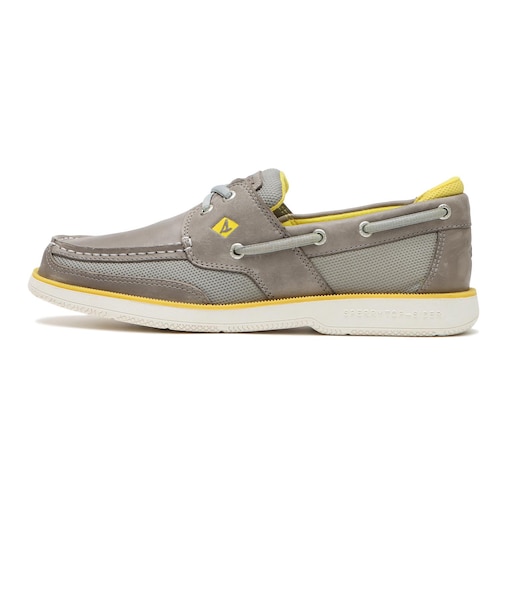 STS24258 SURVEYOR 2-EYE(W) GREY 624224-0001
