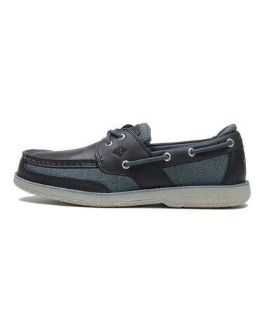 STS25401 SURVEYOR 2-EYE BLUE 657977-0001