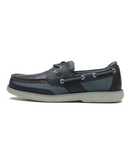 STS25401 SURVEYOR 2-EYE BLUE 657977-0001