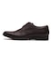B0001　S-TIP　DK.BROWN　665457-0002