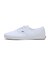 VN000D04WWW　AUTHENTIC LOWPRO　WHITE/WHITE　680548-0001