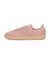 JI3209　SAMBA OG　WARM/WARM/WOND　686330-0001