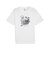 630099　M TMNT RELAXED GRAPHIC TE　02WH　693244-0002