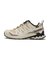 L47817600　XA PRO 3D V9 GTX W　Hazelnut/Tender　691272-0001