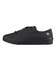 DM1XJC00BG　VERTHER CE 24.1　BLG　676833-0001
