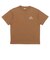 425R1013301　M Mt. HOOD Photo TEE　BROWN　697442-0002