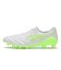 1101A076.100　DS LIGHT X-FLY 6　WHITE/GREEN G　700338-0001