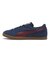 401048　BRASIL　06PERSIAN BLUE　690613-0006