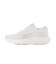 100245432　REEBOK ROAD STRIDER　WHT/GRY/WHT　700654-0001