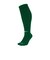 SX5728　U CLASSIC FTB SOCKS　302PINE G/WHITE　708446-0001
