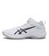 1063A096.104　GELHOOP V17　WHITE/BLUE　708894-0001