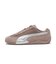 403902　SPEEDCAT PREMIUM　13SANDSTONE　694105-0007