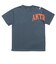 226-021005　F.A. ARCHED LOGO SP TEE　SLATE BLUE　715182-0001