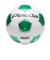 F5K4000-WG　ﾍﾟﾚｰﾀﾞ4000(5ｺﾞｳ)　WHT/M.GRN　697690-0001