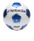 F4K4000-WB　ﾍﾟﾚｰﾀﾞ4000(4ｺﾞｳ)　WHT/M.BLU　697700-0001