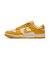 WIB4417　W DUNK LOW　101PALIVR/DKSL　699674-0002