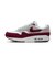 MIM3906　AIRMAX 1 '87 ST SP　100WHITE/TMMARN　705620-0001
