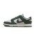 WHJ7673　W DUNK LOW　002PTNDST/VINT　683643-0003
