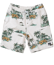 【OUTLET】Quiksilver LONGMAN HILL VOLLEY 20NB ボードショーツ メンズ