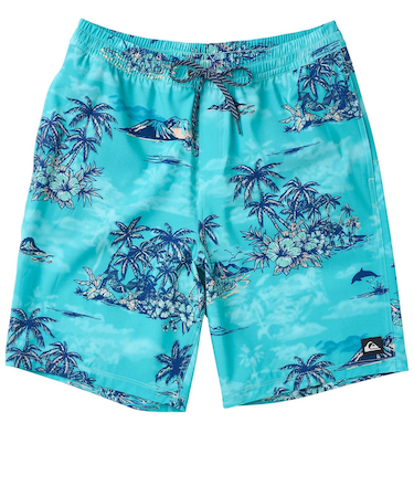 【OUTLET】Quiksilver LONGMAN HILL VOLLEY 20NB ボードショーツ メンズ