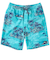 【OUTLET】Quiksilver LONGMAN HILL VOLLEY 20NB ボードショーツ メンズ
