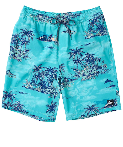 【OUTLET】Quiksilver LONGMAN HILL VOLLEY 20NB ボードショーツ メンズ