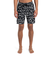 Quiksilver MERCURY STRAIGHT VOLLEY 19NB メンズ ボードショーツ
