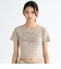 【DC ディーシー公式通販】ディーシー （DC SHOES）DC Shoes 25 WS HIDDEN SHORT SS ウィメンズ Tシャツ