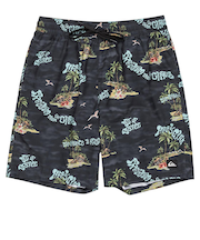 Quiksilver EVERYDAY STRAIGHT VL 19 メンズ ボードショーツ