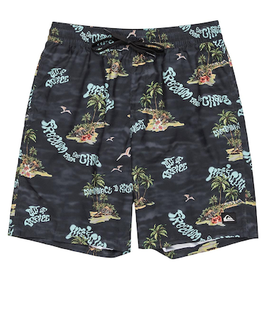 Quiksilver EVERYDAY STRAIGHT VL 19 メンズ ボードショーツ