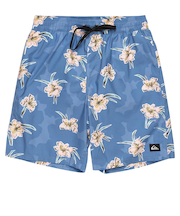 Quiksilver EVERYDAY STRAIGHT VL 19 メンズ ボードショーツ