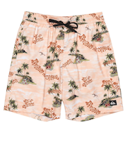 Quiksilver EVERYDAY STRAIGHT VL 19 メンズ ボードショーツ