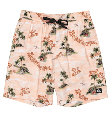 Quiksilver EVERYDAY STRAIGHT VL 19 メンズ ボードショーツ