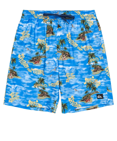 Quiksilver EVERYDAY STRAIGHT VL 19 メンズ ボードショーツ