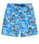 Quiksilver EVERYDAY STRAIGHT VL 19 メンズ ボードショーツ