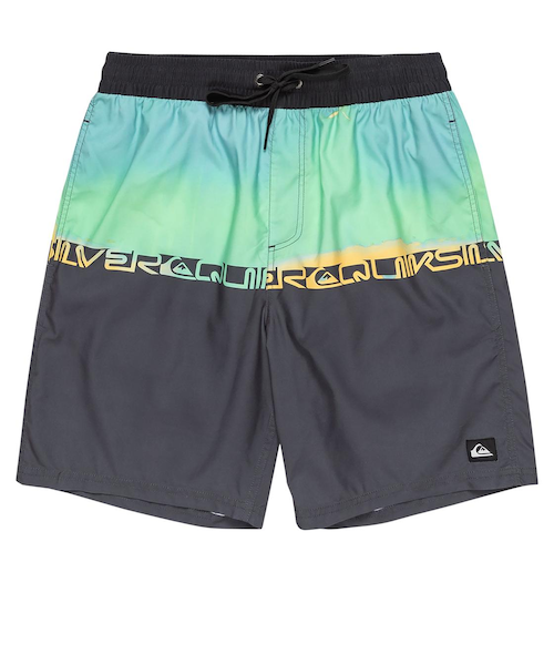 Quiksilver EVERYDAY WORDBLOCK VL 19 メンズ ボードショーツ