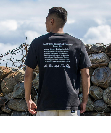 Quiksilver DNA HISTORY PIGMENT ST メンズ Tシャツ