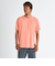 Quiksilver DNA BUBBLE LOGO ST メンズ Tシャツ