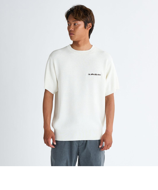 Quiksilver DISCONNECT MALL ST メンズ Tシャツ