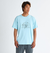 Quiksilver FREEDOM SWELL ST メンズ Tシャツ