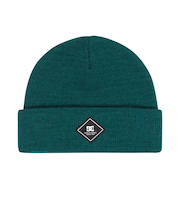 【DC ディーシー公式通販】ディーシー （DC SHOES）DC SHOES メンズ LABEL BEANIE ビーニー 【25-26SNOWモデル】