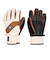 DC SHOES メンズ FRANCHISE GLOVE スノーグローブ 【25-26SNOWモデル】