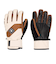 DC SHOES メンズ FRANCHISE GLOVE スノーグローブ 【25-26SNOWモデル】
