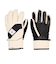 DC SHOES ウィメンズ FRANCHISE WMNS GLOVE スノーグローブ 【25-26SNOWモデル】