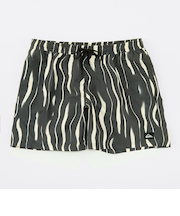 Quiksilver 【オンラインストア・直営店限定】 EVERYDAY STRAIGHT VOLLEY 17NB ボードショーツ メンズ