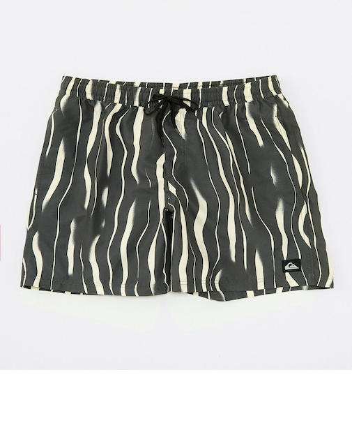 Quiksilver 【オンラインストア・直営店限定】 EVERYDAY STRAIGHT VOLLEY 17NB ボードショーツ メンズ