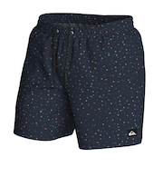 Quiksilver 【オンラインストア・直営店限定】 EVERYDAY STRAIGHT VOLLEY 17NB ボードショーツ メンズ