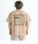 Quiksilver DISTORTED BOX ST Tシャツ メンズ
